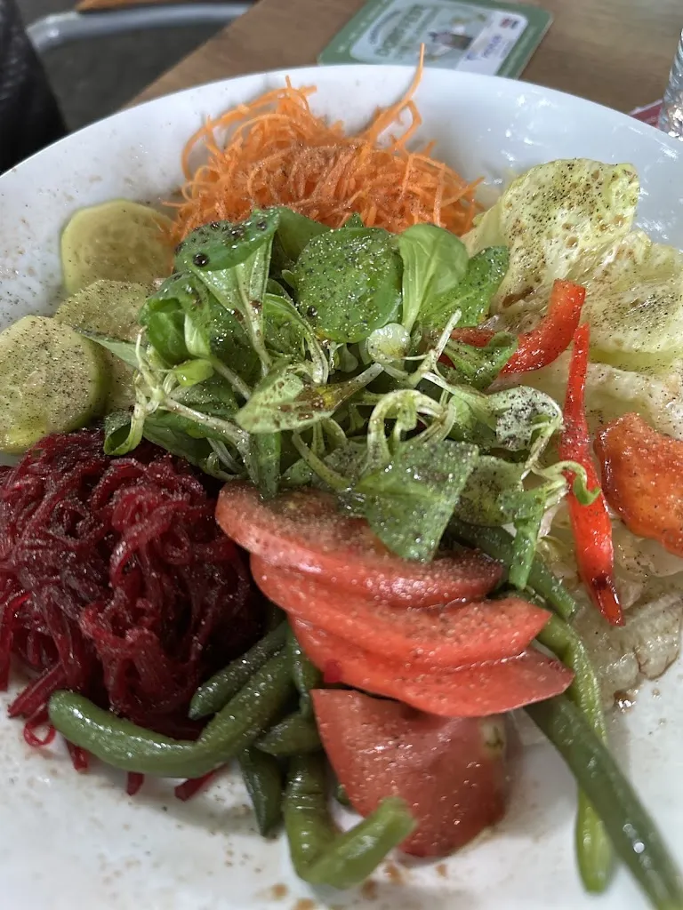 Merry “Merrycyclist”_Mösl_Merana_review