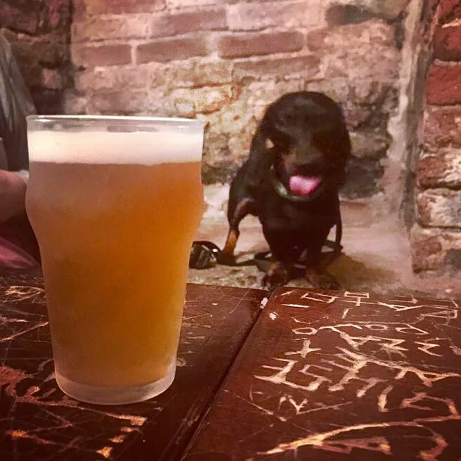 Menu_Black Lion Pub_Miagliano_immagine_7