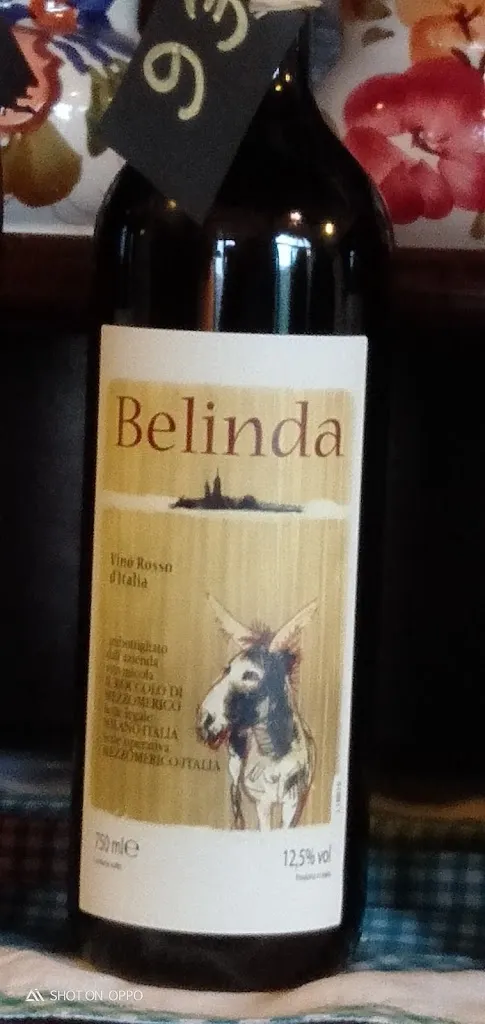 Nellina 68_The Roccolo Di Mezzomeric_Mezzomerico_review