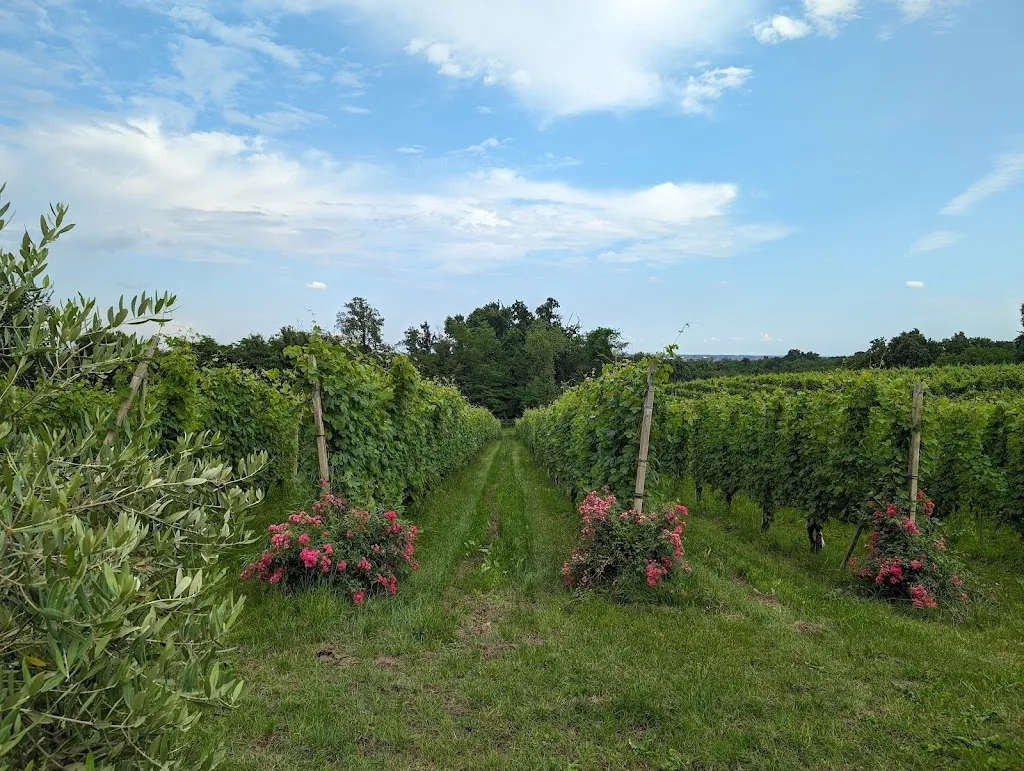 The Roccolo Di Mezzomeric_Mezzomerico_slider_image_3