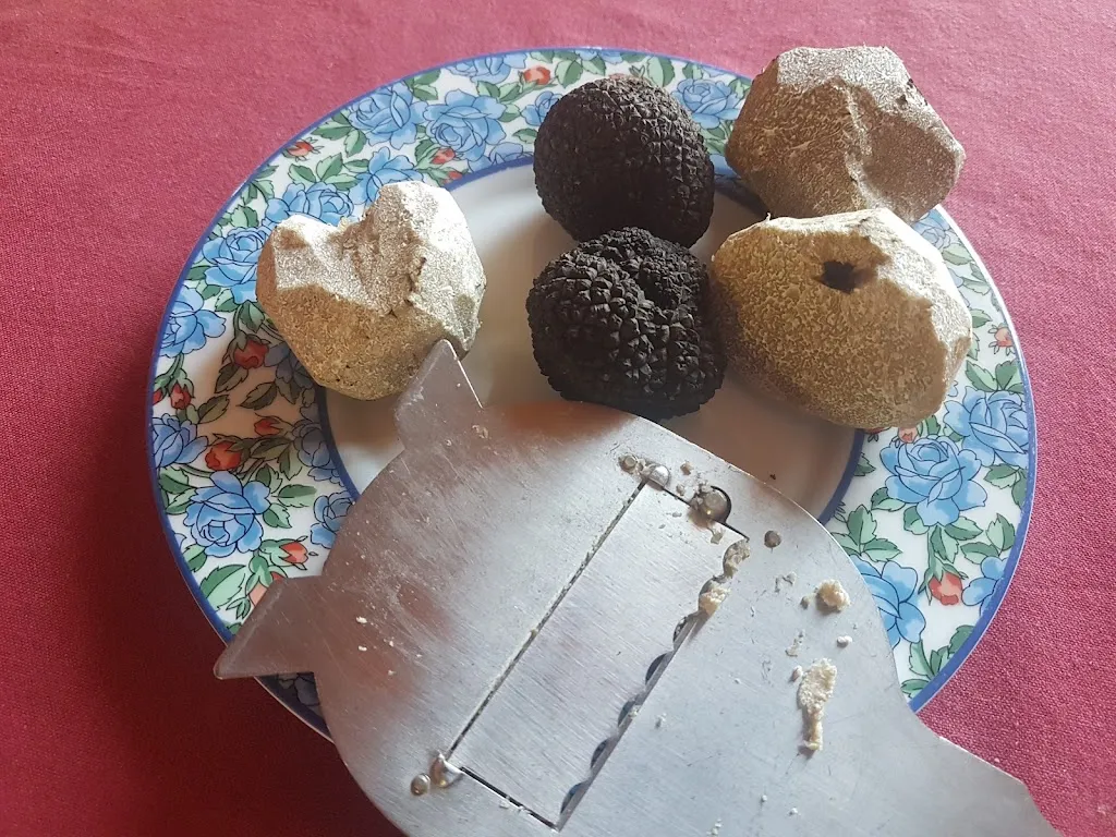 Menu_Agriturismo La Tartufaia_Mombercelli_image_3