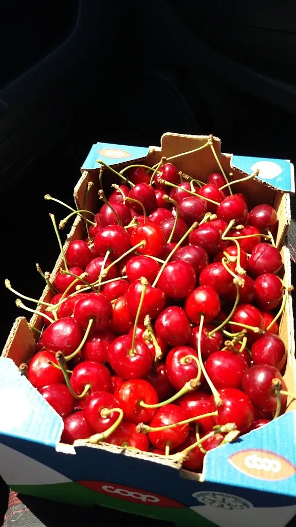 Menu_Il Bugigattolo 2.0_Conversano_image_8