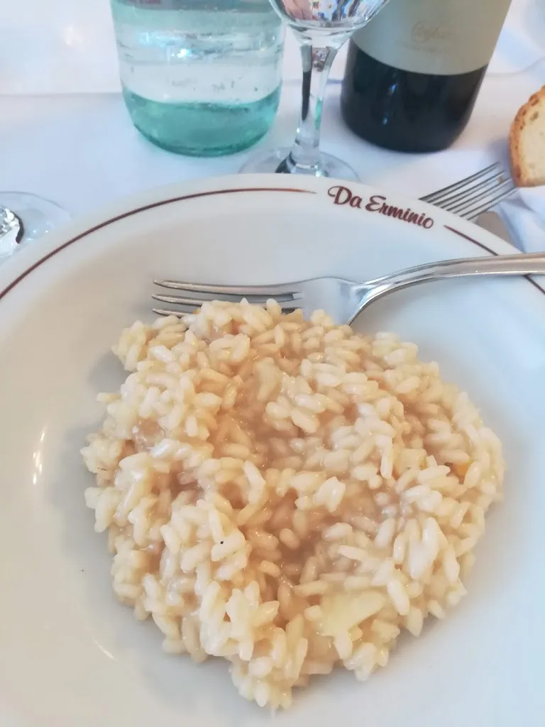 Menu_Ristorante Albergo Da Erminio_Mombaruzzo_image_2