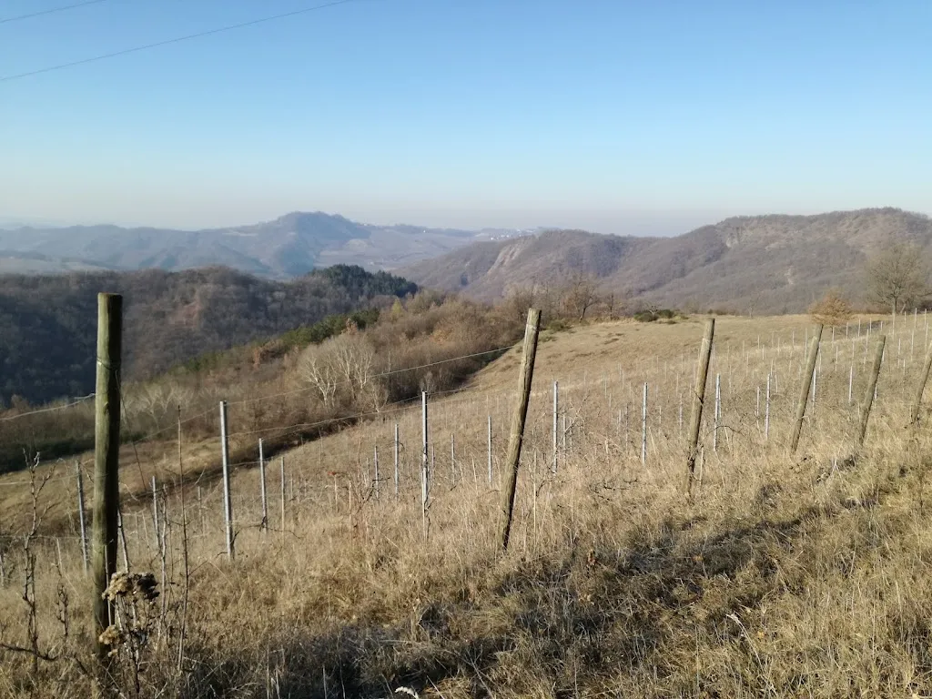 Il Tilacino 366_Momperone_slider_image_2