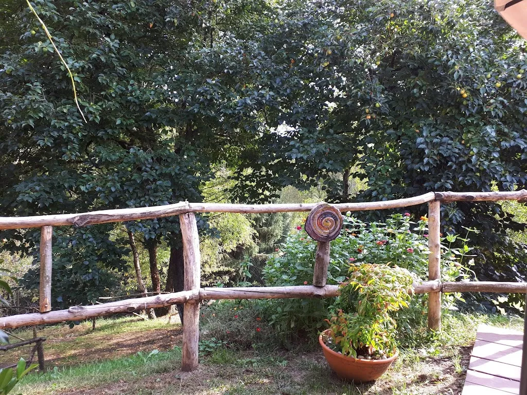 Paola Caggiano_Cà Mea_Miasino_review