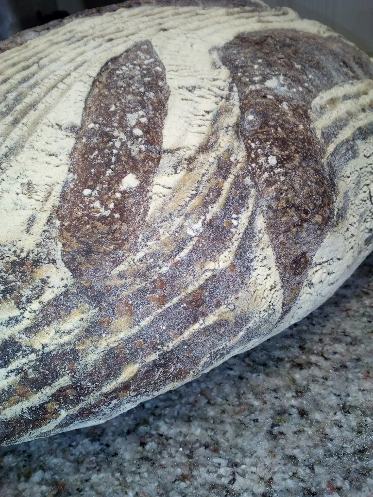 Menu_Mollica di Pane_Conversano_image_5