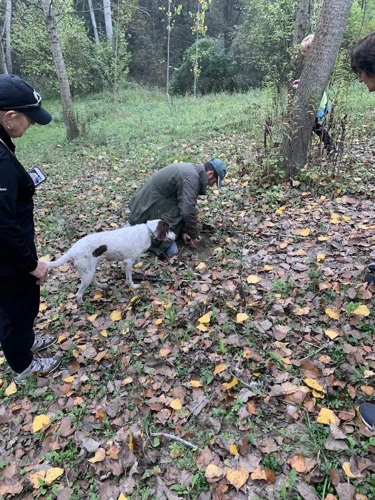 Greg Ball_Tra Arte e Querce - Guest House _Monchiero Borgonuovo_recensione