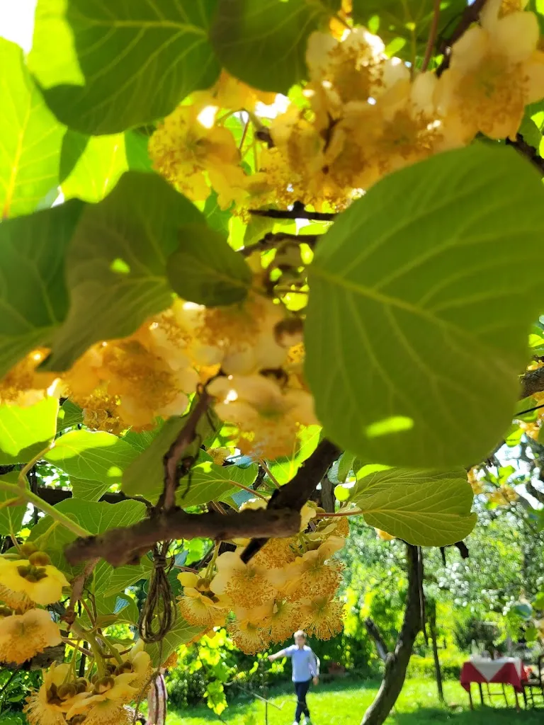 Max Ritro_Agriturismo CASCINADIMAGGIO_Moncucco Torinese_review