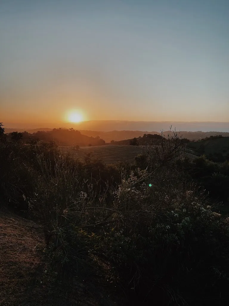 Michael Berninger_La Tomatica in Commedia_Mongardino_review