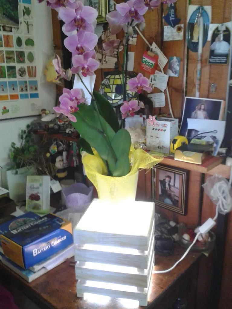 Vittore_Monleale_slider_image_3