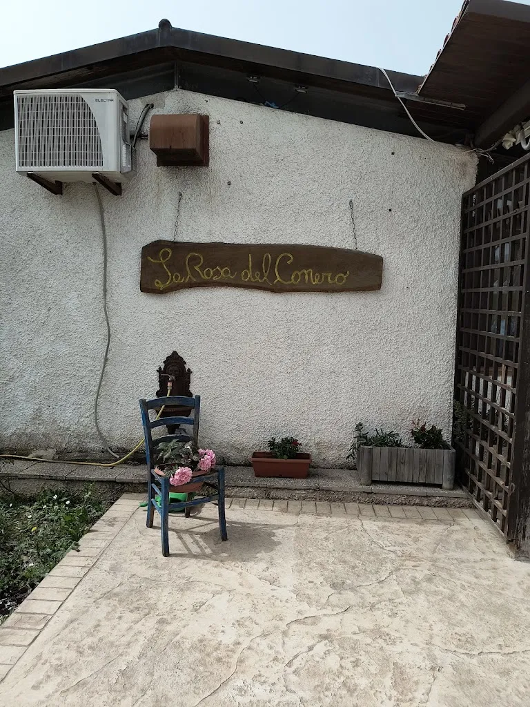 Dario Felletti_La Rosa del Conero_Montacuto_review