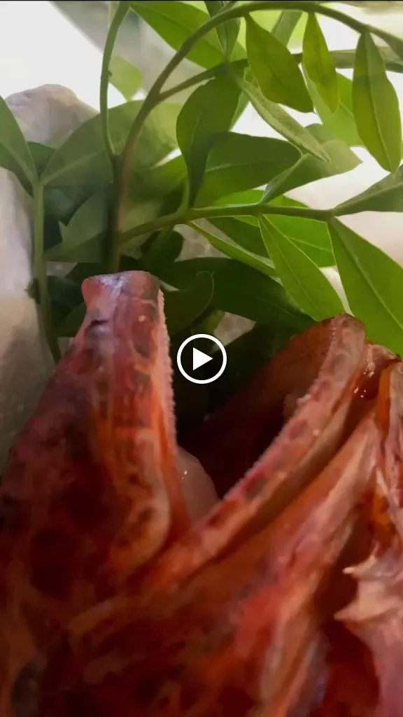 Kòria Restaurant_Corigliano d'Otranto_slider_image_2