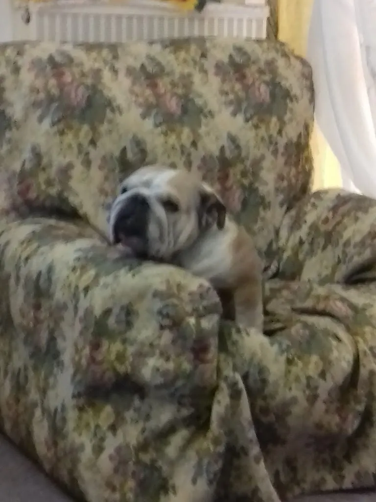 Fait Bistrodrinkeria_Montalto Dora_slider_image_3