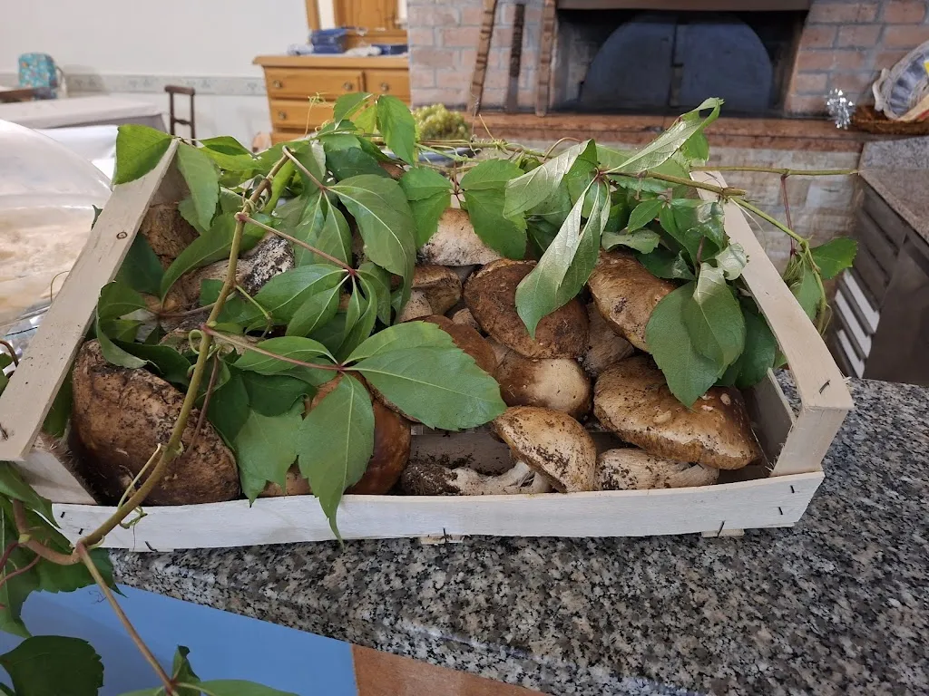 Augusto S_Da Neta 1952_Montechiaro d'Acqui_review