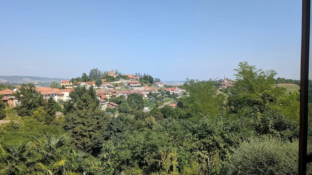 Diana Barberis_Trattoria Tre Colli_Montechiaro d'Asti_review