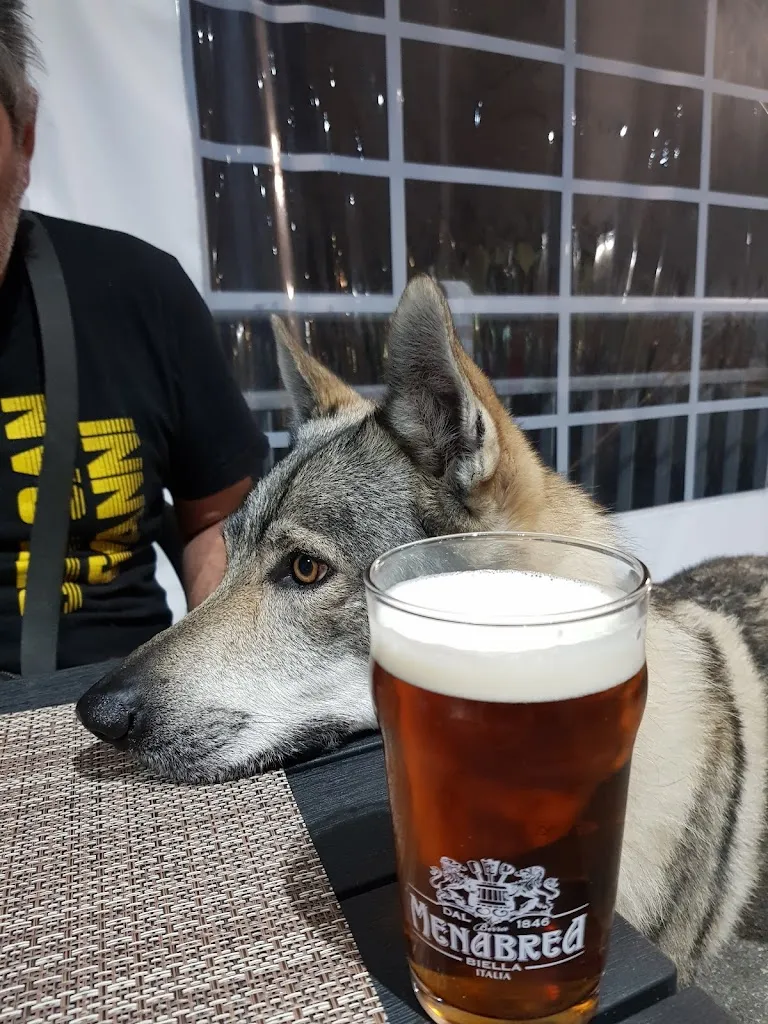 Menu_LE COCCINELLE | Pizzeria Antrona_Montescheno_image_4