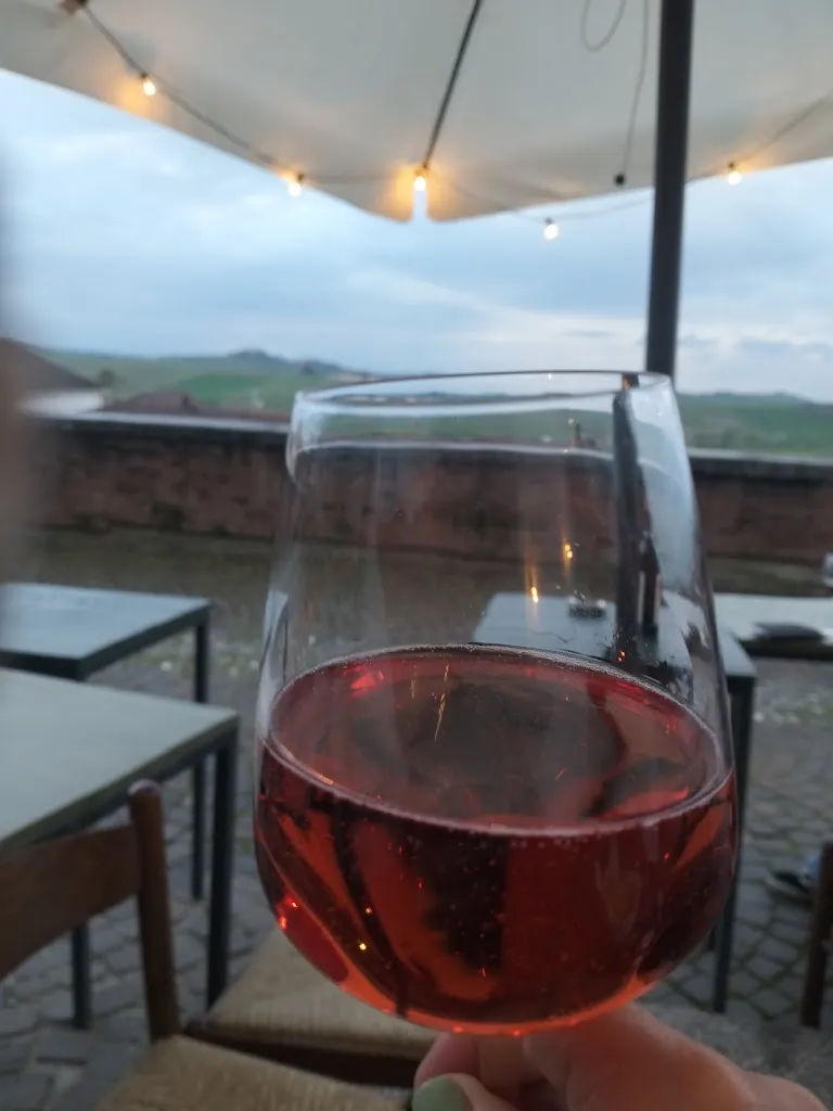 vanessa lanzoni_Apedivino_Montemagno_recensione