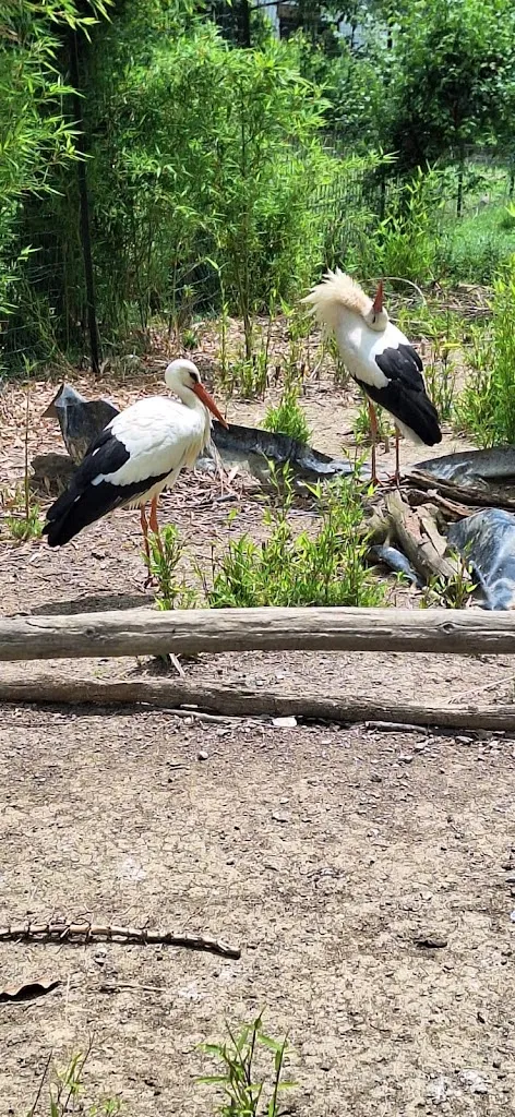 Karen Alvear_Parco del Bric Ristorante_Montiglio_review