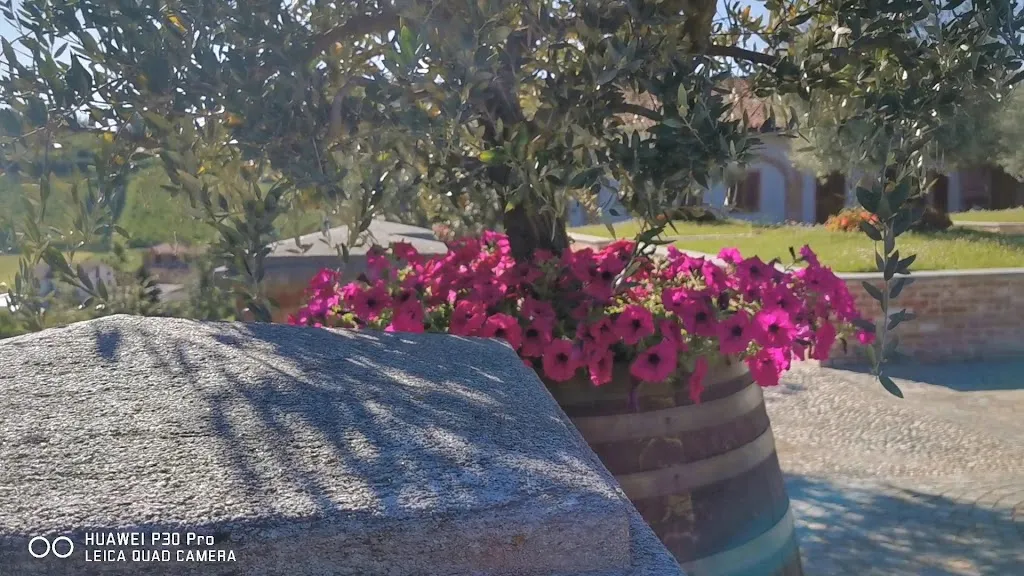 Rocca Rostìa_Monteu Roero_slider_image_2