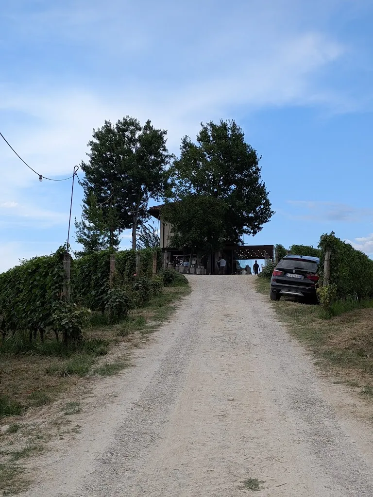 Chiara Sartori_Ciabot San Giorgio_Monteu Roero_review