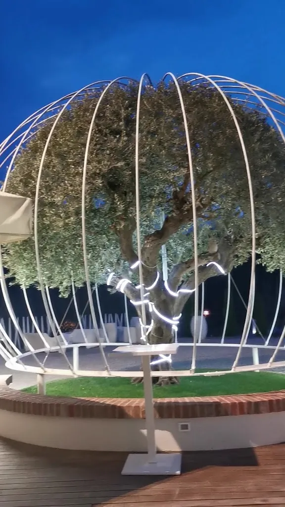 MonteOliveto di Casa'_Monticello d'Alba_slider_image_2