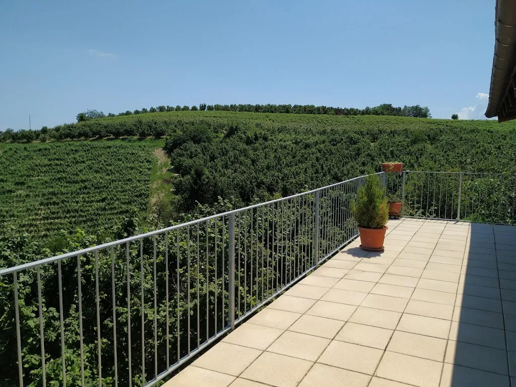 La locanda del contadino_Monticello d'Alba_slider_image_3