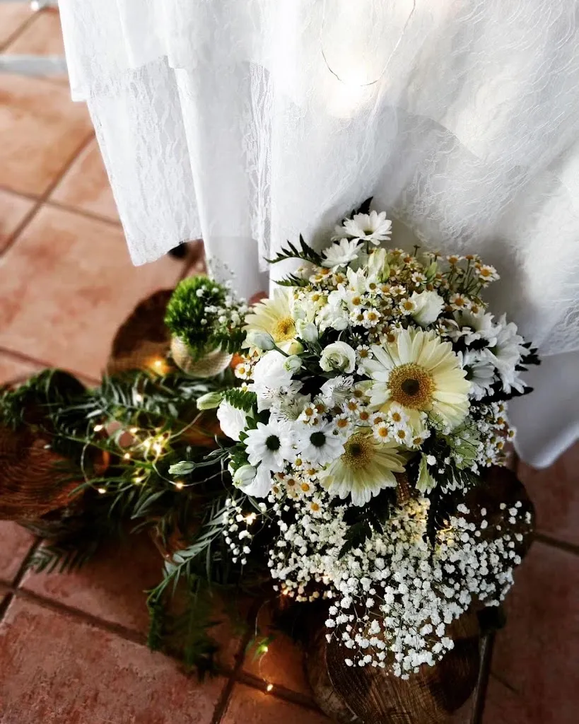 Stefy Taf_circolo aleteia_Corigliano d'Otranto_review