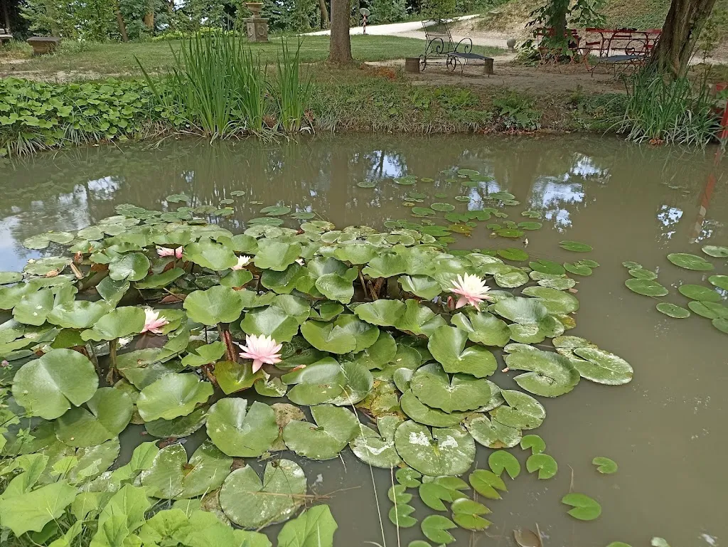 Iryna Bocharnikova_Castello Roero - Monticello d'Alba_Monticello d'Alba_review