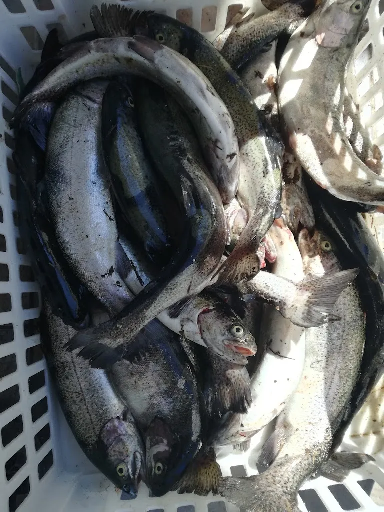 Menu_Martin Pescatore Lago Ristorante Bar_Morozzo_image_2