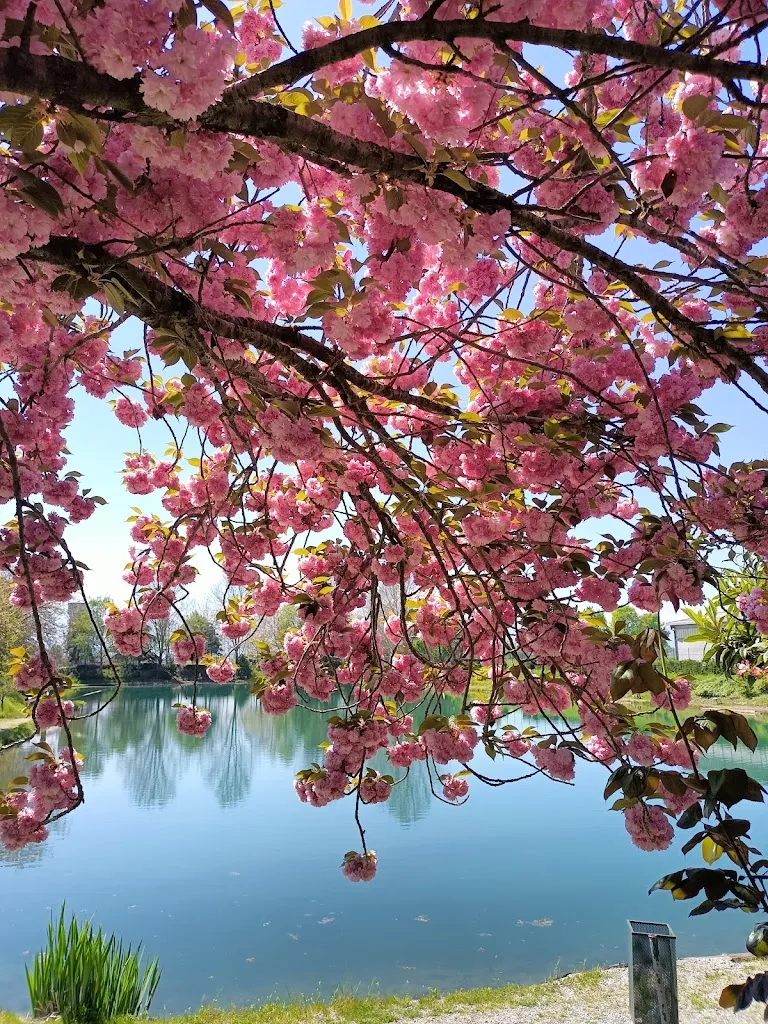 Irene Salvai_Martin Pescatore Lago Ristorante Bar_Morozzo_review