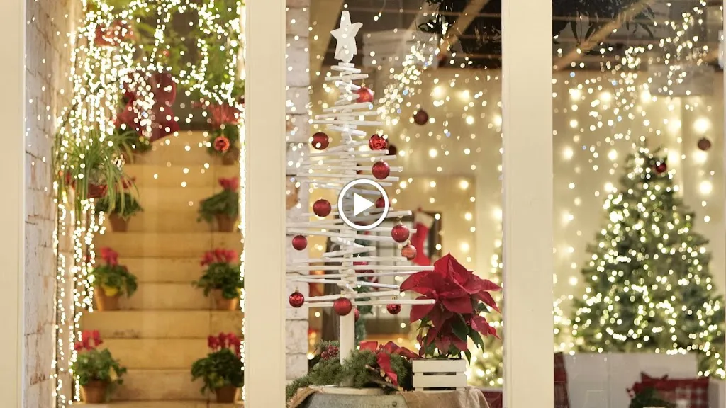 Ristorante PietrAntica_Cozzana_slider_image_2