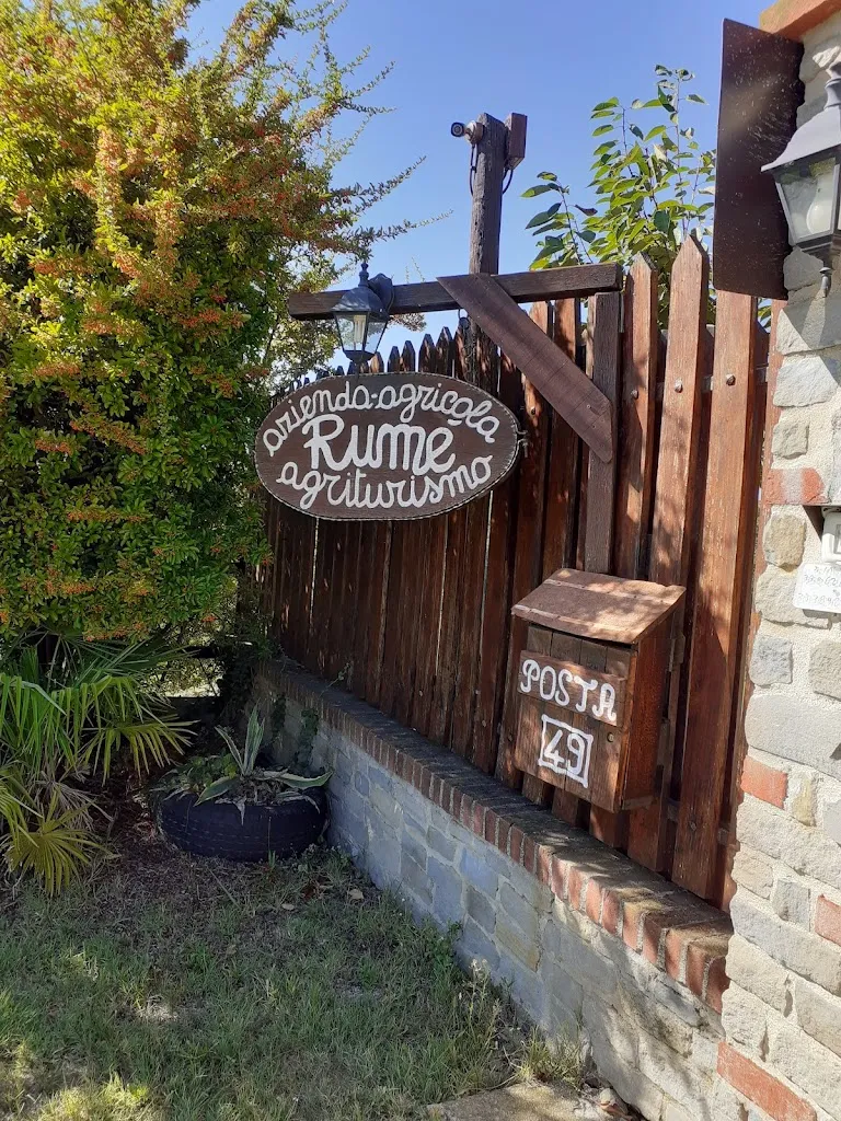 patrizia barroero “Elyo 2015” patrizia barroero_Azienda agrituristica Rumè_Murazzano_review