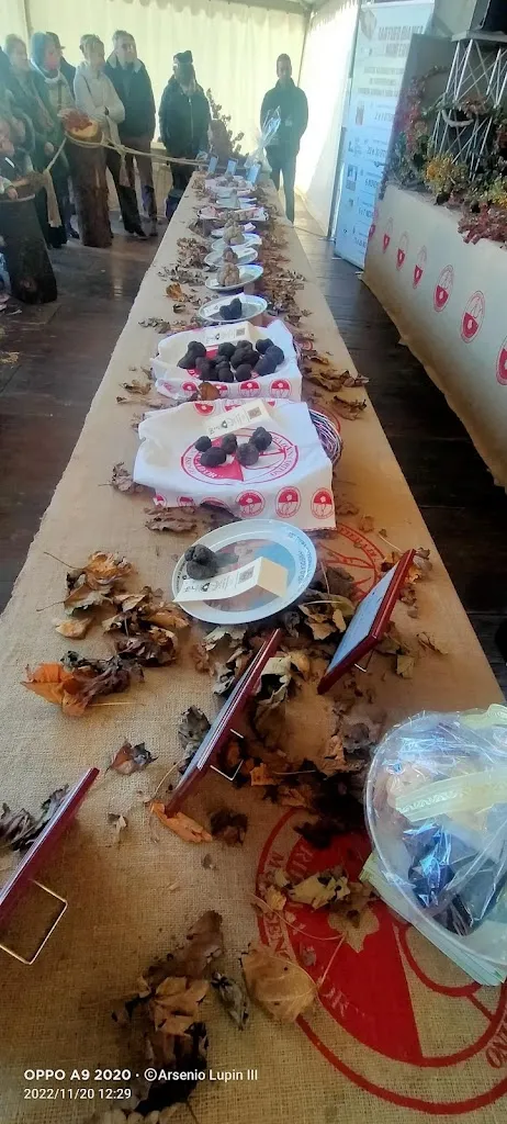 Menu_Caffè della Fontana_Murisengo_immagine_1