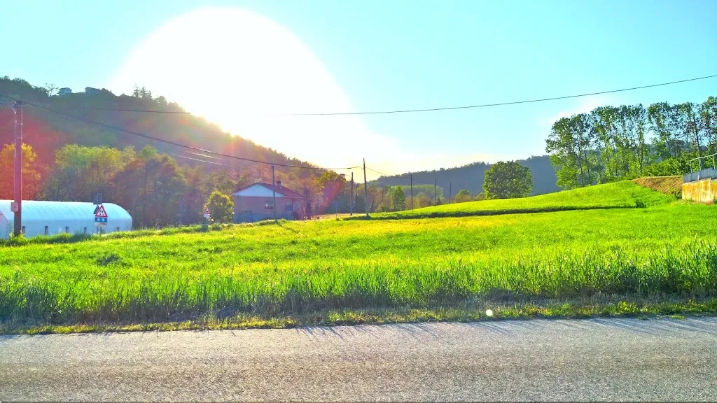 Pizzeria Lo Stivale_Murisengo_slider_image_3