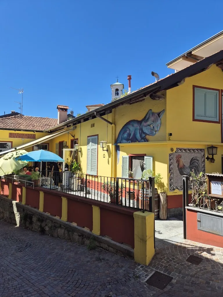 Gatto Blu_Nebbiuno_slider_image_3