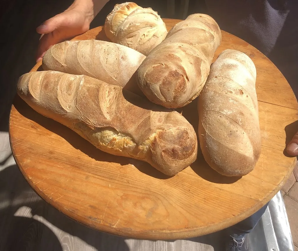 Menu_Il Mosaico Ristorante Pizzeria Di Zaccaria Nicolò_Cozzana_image_5