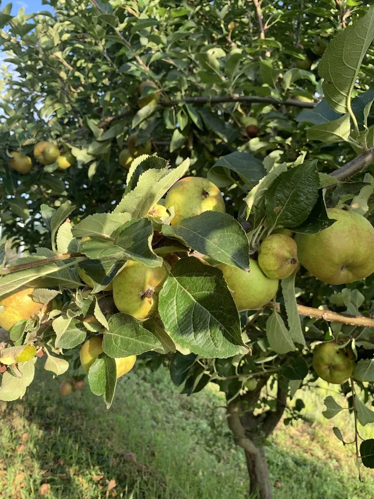 Katerina sh_Locanda San Giorgio_Neviglie_review