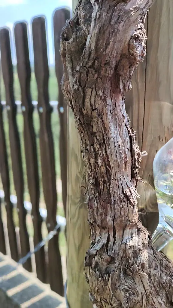 Agriturismo Lo Sprin_Neviglie_slider_image_2