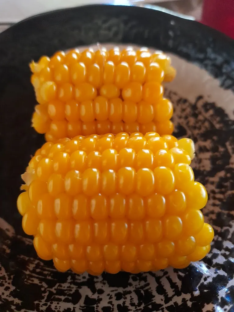 Menu_CheckMate ristorante_Casoli_image_7