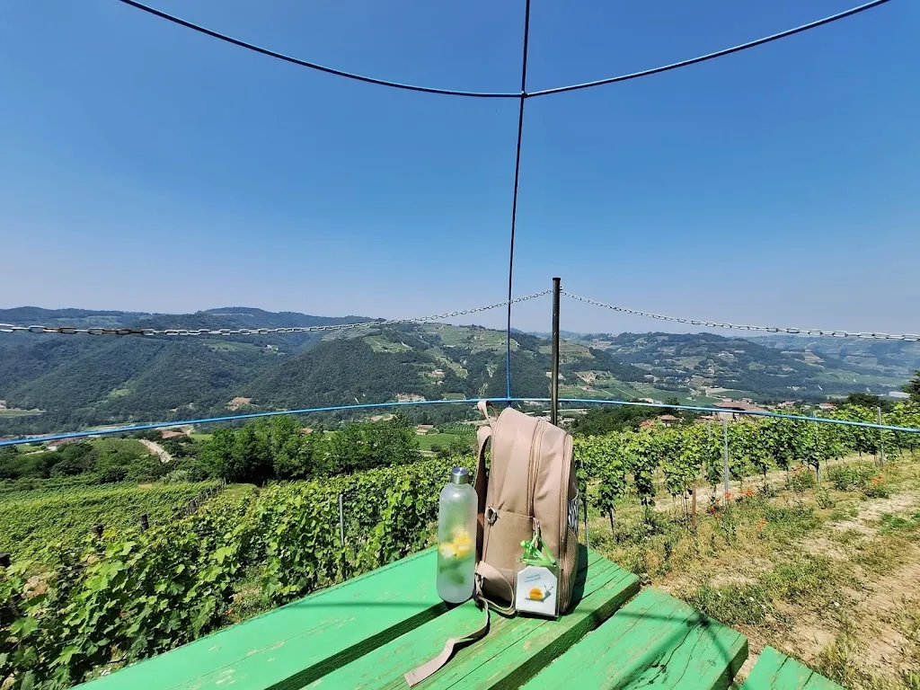 Sophie Bourgois_Cappuccetto Verde_Neviglie_review