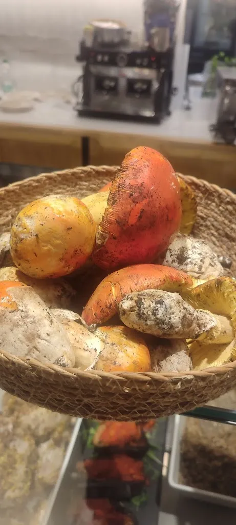 Menu_Cibus - Identità del gusto_Cozzana_image_3