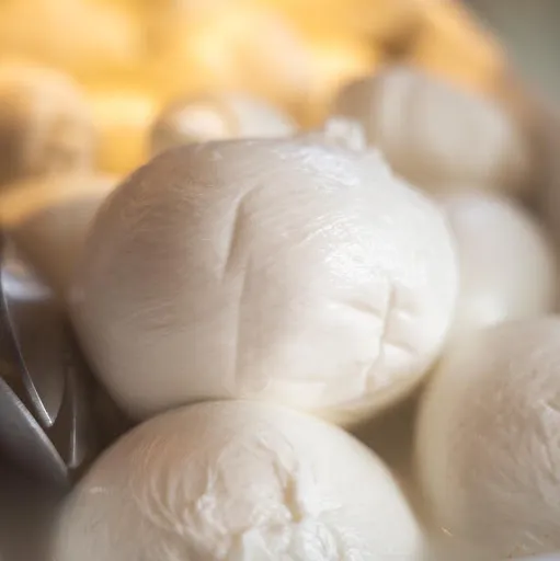 Menu_Cibus - Identità del gusto_Cozzana_image_5