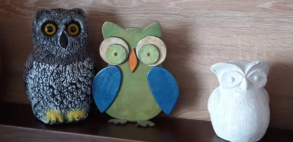 Il BarBagianni_Odalengo Grande_slider_image_3