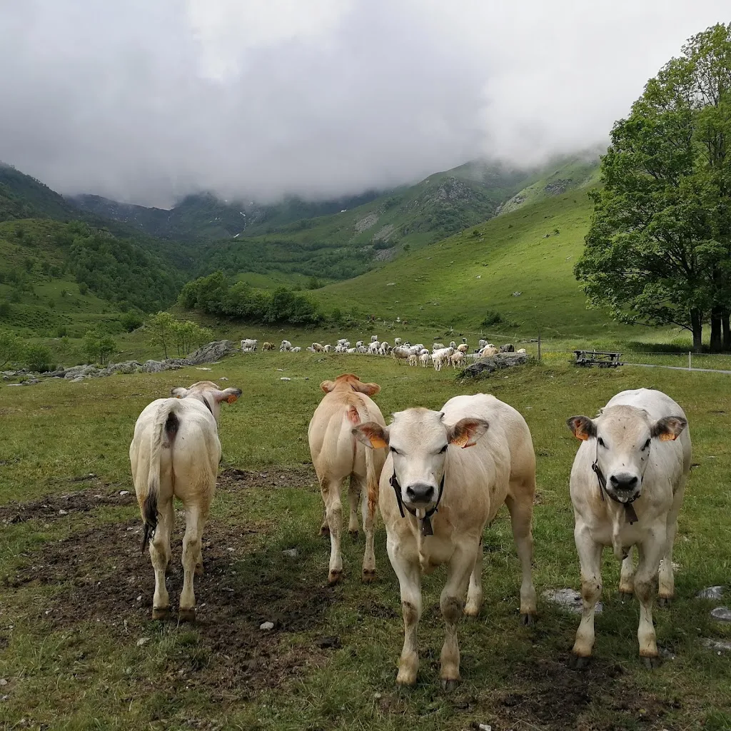 Le bianche bigorie_Oncino_slider_image_3