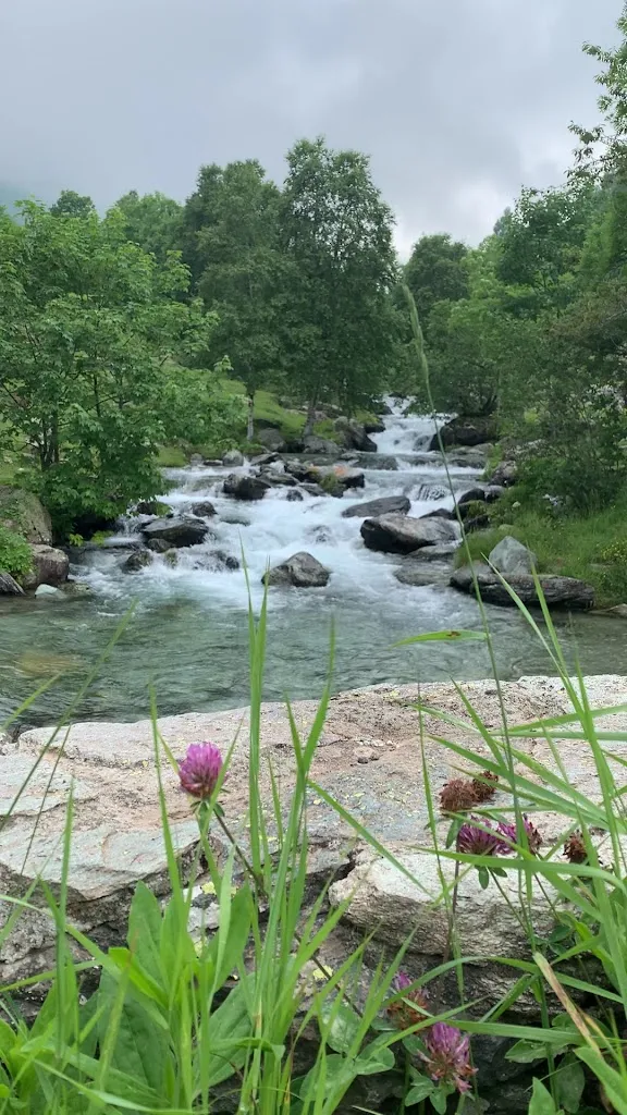 paolo flesia_Trattoria 