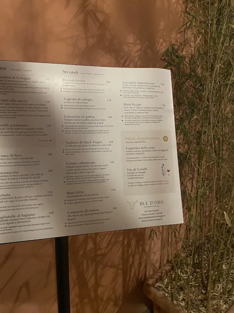 Menu_Ristorante Bue D'Oro_Oleggio Castello_immagine_4