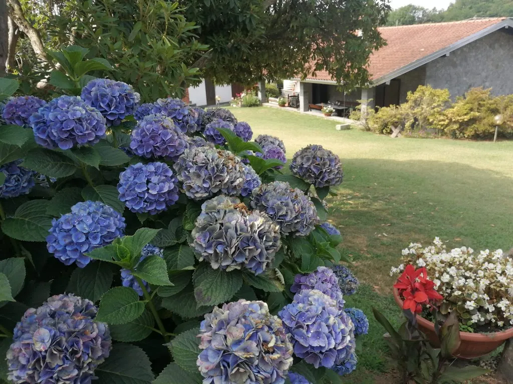 Chiacchiere e gusto home restaurant_Oleggio Castello_slider_image_2