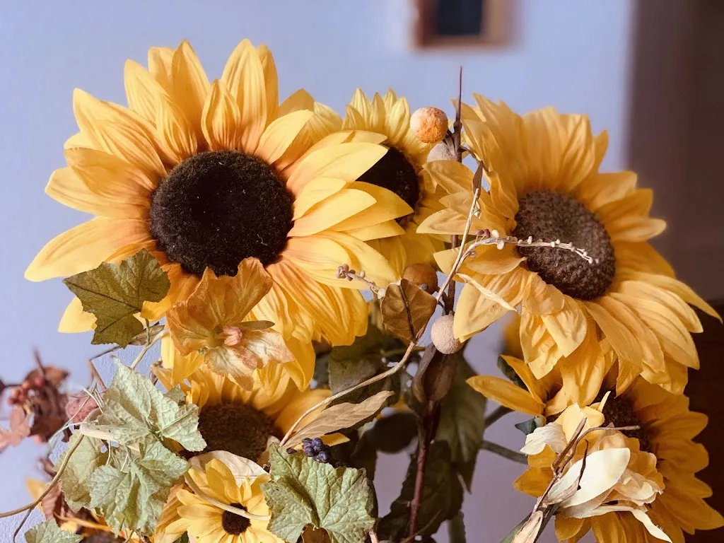 Ristorante Cagna_Ormea_slider_image_3