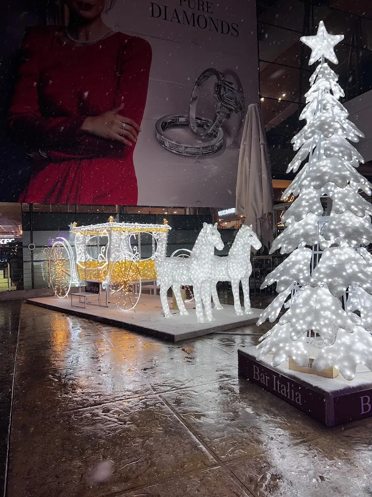 Светлана Георгиева_Ristorante Bar italia_Ormea_review