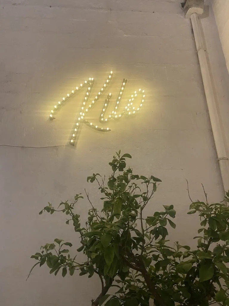 Alejandra Arroyo_KILO RISTO-BRACERIA_Cursi_review